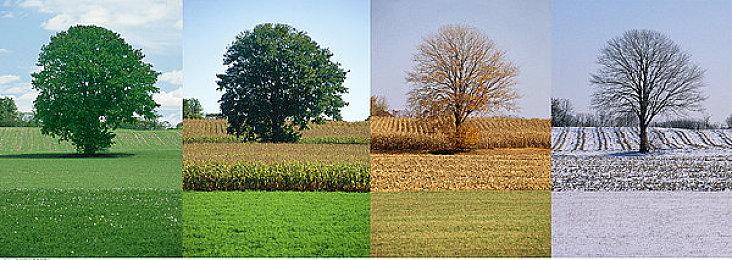 《狂野之心》基础技巧介绍 协助玩家对抗怪物