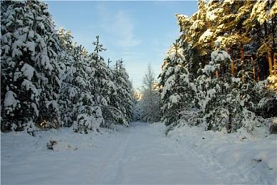 又一个友尽游戏！“分手医院”《大救特救》10月21日上线Steam